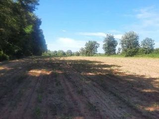 For sale land in Pak Thong Chai, Nakhon Ratchasima