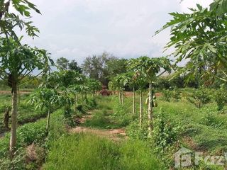 For sale land in Phu Khiao, Chaiyaphum