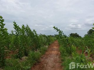 For sale land in Phu Khiao, Chaiyaphum