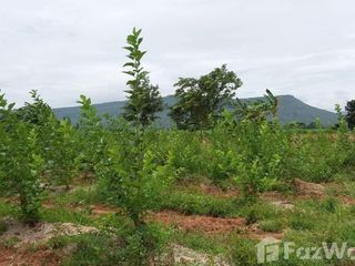 For sale land in Phu Khiao, Chaiyaphum