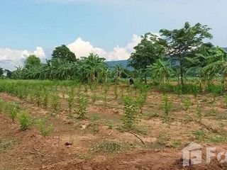 For sale land in Phu Khiao, Chaiyaphum
