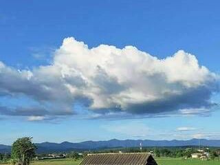 For sale land in Wiang Pa Pao, Chiang Rai