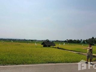 For sale land in Wiang Pa Pao, Chiang Rai