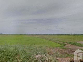 For sale land in Ban Phraek, Phra Nakhon Si Ayutthaya