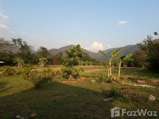 For sale land in Thung Chang, Nan