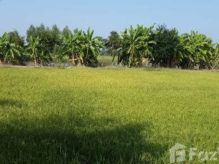 For sale land in Mueang Sukhothai, Sukhothai