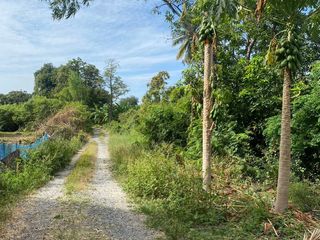 For sale land in Nakhon Luang, Phra Nakhon Si Ayutthaya