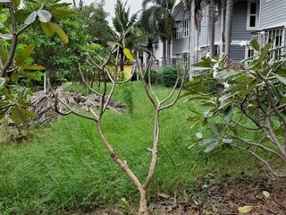 For sale land in Kamphaeng Saen, Nakhon Pathom