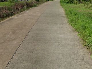 For sale land in Ko Chan, Chonburi