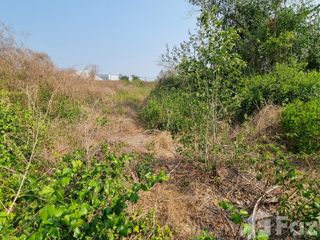 For sale land in Mueang Samut Sakhon, Samut Sakhon