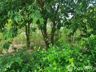For sale land in Kamphaeng Saen, Nakhon Pathom
