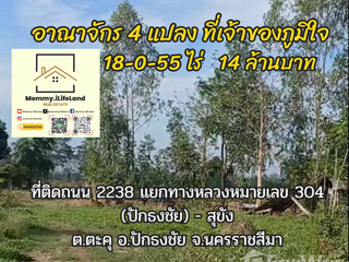 For sale land in Pak Thong Chai, Nakhon Ratchasima