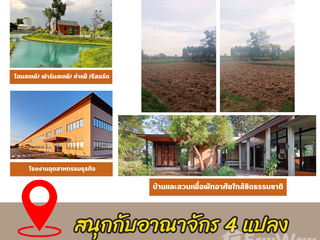 For sale land in Pak Thong Chai, Nakhon Ratchasima