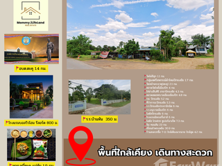 For sale land in Pak Thong Chai, Nakhon Ratchasima