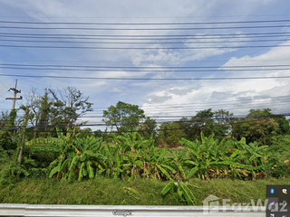 For sale land in Chok Chai, Nakhon Ratchasima