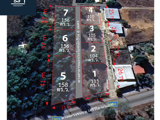 For sale land in Si Wilai, Bueng Kan
