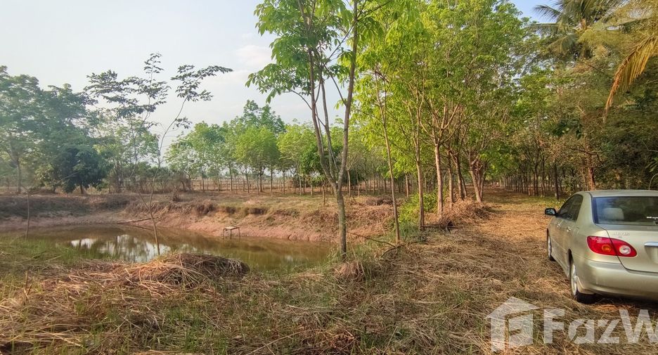 For sale land in Mueang Nongbua Lamphu, Nong Bua Lamphu
