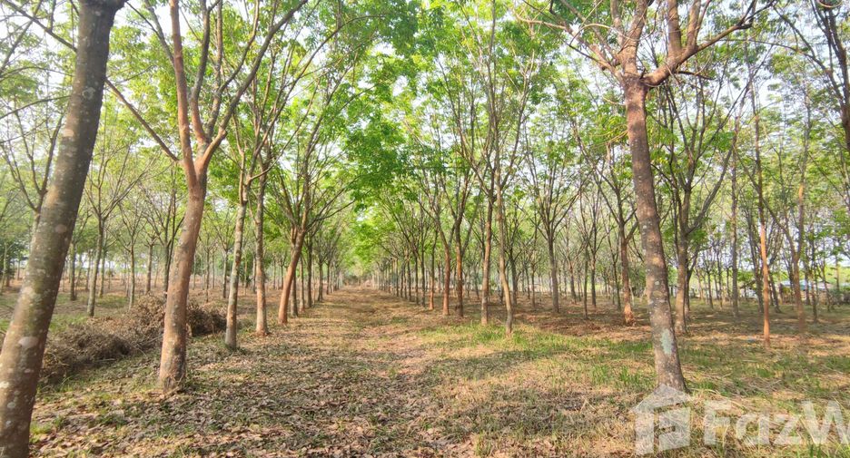 For sale land in Mueang Nongbua Lamphu, Nong Bua Lamphu