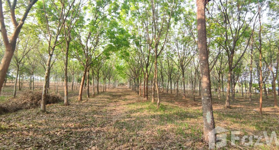 For sale land in Mueang Nongbua Lamphu, Nong Bua Lamphu
