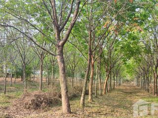 For sale land in Mueang Nongbua Lamphu, Nong Bua Lamphu