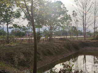 For sale land in Mueang Nongbua Lamphu, Nong Bua Lamphu