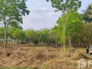 For sale land in Mueang Nongbua Lamphu, Nong Bua Lamphu