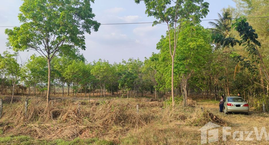 For sale land in Mueang Nongbua Lamphu, Nong Bua Lamphu