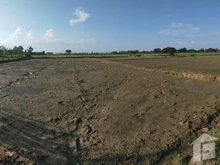 For sale land in Phan, Chiang Rai