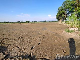 For sale land in Phan, Chiang Rai