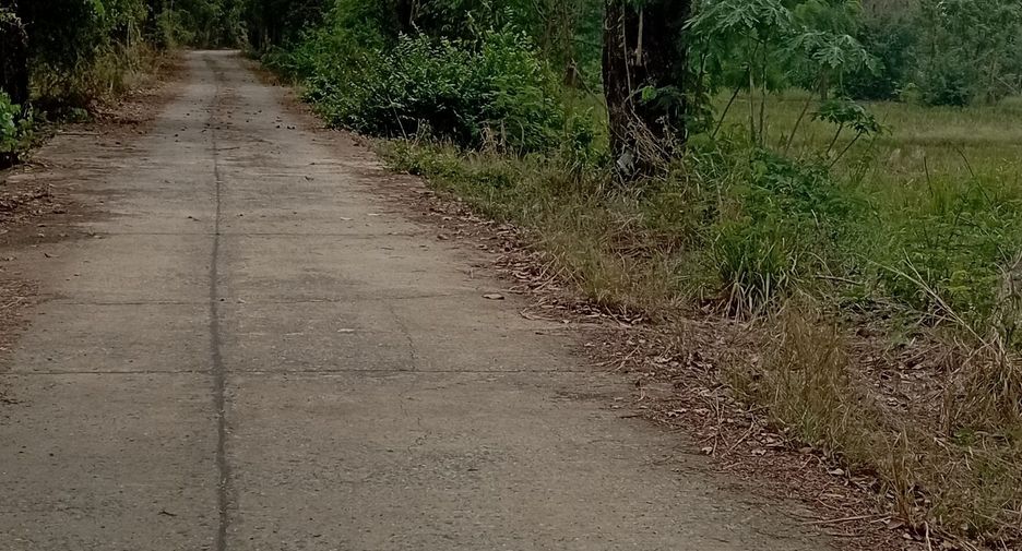 For sale land in Kaeng Khoi, Saraburi