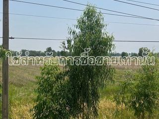 For sale land in Sawang Arom, Uthai Thani