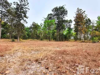 For sale land in Kuchinarai, Kalasin