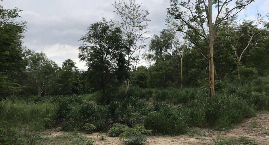 For sale land in Kaeng Khoi, Saraburi