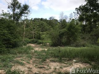 For sale land in Kaeng Khoi, Saraburi