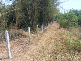 For sale land in Kaeng Khro, Chaiyaphum