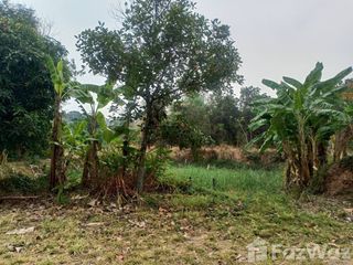 For sale land in Kaeng Khro, Chaiyaphum