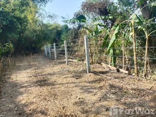 For sale land in Kaeng Khro, Chaiyaphum