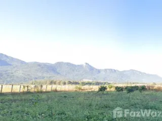 For sale land in Pai, Mae Hong Son