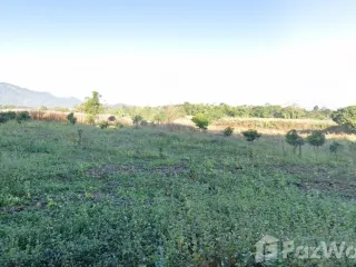 For sale land in Pai, Mae Hong Son