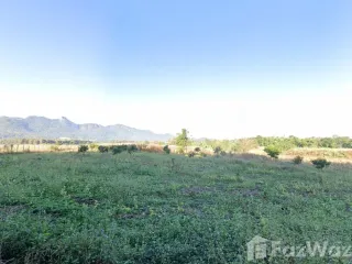 For sale land in Pai, Mae Hong Son