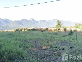 For sale land in Pai, Mae Hong Son