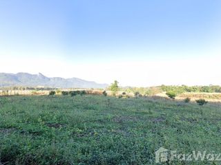 For sale land in Pai, Mae Hong Son