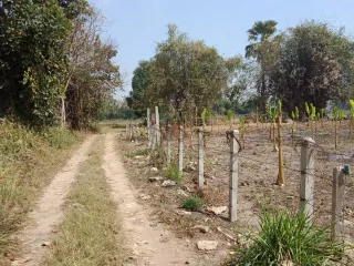 For sale land in Mueang Chiang Rai, Chiang Rai