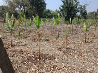 For sale land in Mueang Chiang Rai, Chiang Rai