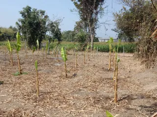 For sale land in Mueang Chiang Rai, Chiang Rai