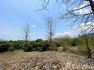 For sale land in Mae On, Chiang Mai