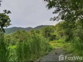 For sale land in Mae On, Chiang Mai