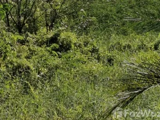 For sale land in Tha Bo, Nong Khai