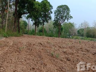 For sale land in Muang Nan, Nan