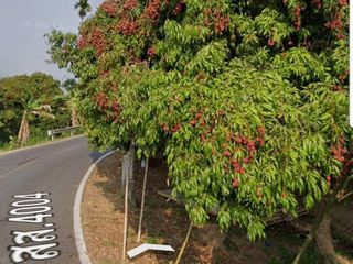 For sale land in Amphawa, Samut Songkhram